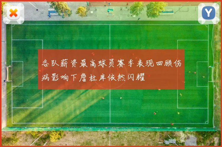 各队薪资最高球员赛季表现回顾伤病影响下詹杜库依然闪耀